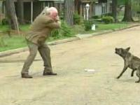 Pies vs Stary Człowiek