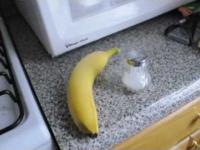 Jak podpalic banana używając soli?