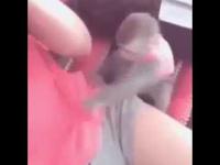 Irytujące małpa trzyma się dziewczyny