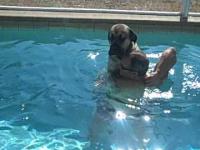 Pies, który boi się pływać 