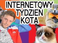 Internetowy Tydzień Kota - NETY #3