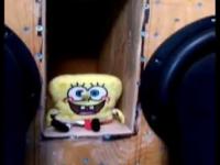 SpongeBob - Bass Spodnie