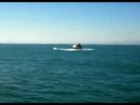 Wakacje - orka kontra łódka