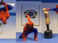 Taekwondo Spiderman