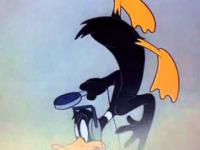 Kaczor Daffy - awaryjne lądowanie