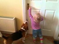 c'mon help me with this door doggy!