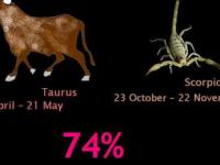 Taurus Zodiac 