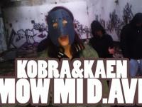KOBRA- Mów mi D.ave (KaeN cover) [TelewizjaTV]