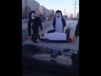 Pingwiny w Rosji