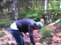 Ruscy przewracają drzewo 