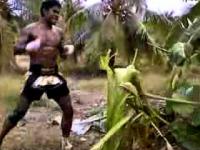 Zawodnik Muay Thai vs bananowiec