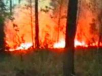 Pożar lasu koło Kuźni Raciborskiej - 20 rocznica