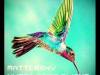 Mattersky - Hummingbird Flight (Original Mix) Progressive House