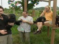 Wpadki z szympansami