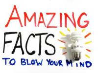 &#8222;Amazing Facts To Blow Your Mind&#8221;