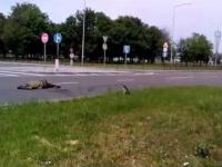 29.05.2014 - (+18) - Droga śmierci do lotniska w Doniecku