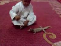 Zabawa małego araba z jaszczurką