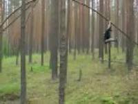 Uginanie gałęzi przez Rosjanina
