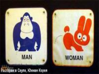 Oznaczenia męskich i żeńskich toalet z różnych stron świata