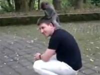 Małpa ujeżdża człowieka