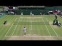 Novak Djokovic vs Jo-Wilfried Tsonga - Wimbledon 2011 (Semifinal)
