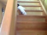 Ze schodów schodzę właśnie tak