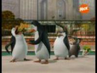 Pingwiny z Madagaskaru Mort i Bomba 