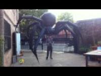 Gigantyczny pająk