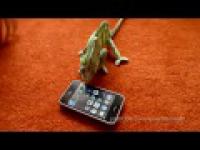 Kameleon i Telefon