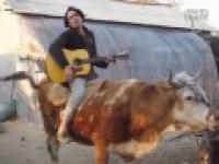 Chiński kowboj śpiewa cover Justina Bibebera 