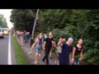 Bakłażan lewitujący Woodstock 2012