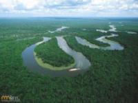 Zapierające dech w piersiach fotografie Amazonii