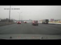 Łoś na rosyjskiej autostradzie