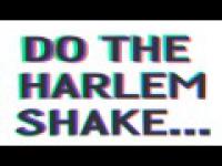 Do The Harlem Shake !!!