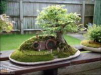 Model domu Hobbita
