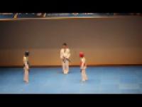 Dziwne Taekwondo Bojowe tańce