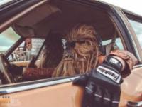 Wookiee w prawdziwym życiu