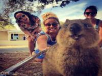 Najsłodsze selfie z Australii