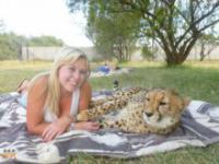 Dziewczyna przyjaźniąca się z gepardem