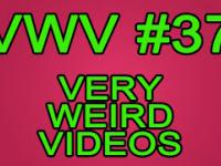 VWV! - Very Weird Videos #37 | BDF #37