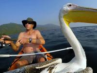 Na ryby z pelikanem