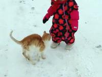 Powalający spacer z kotem