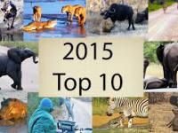 2015's Top 10 Wildlife Videos - Compilation