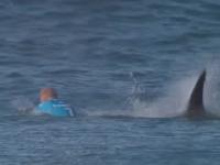 Jaw-dropping: Surfer fights off shark attack live on TV in S. African competition