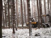 Piękna praca w lesie zimą