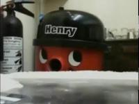 Henry na koksie