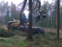 Szybka wycinka drzew przy pomocy maszyny Kesla 28RH.