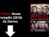 Pitbull. Nowe Porządki 2016 - Cały Film Online - DVDRip PL ZA DARMO HD