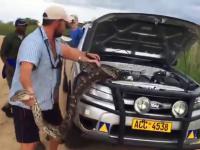 Wąż pod maską samochodu