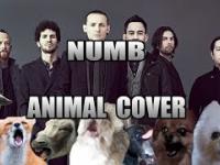 Linkin Park w wersji animalistycznej